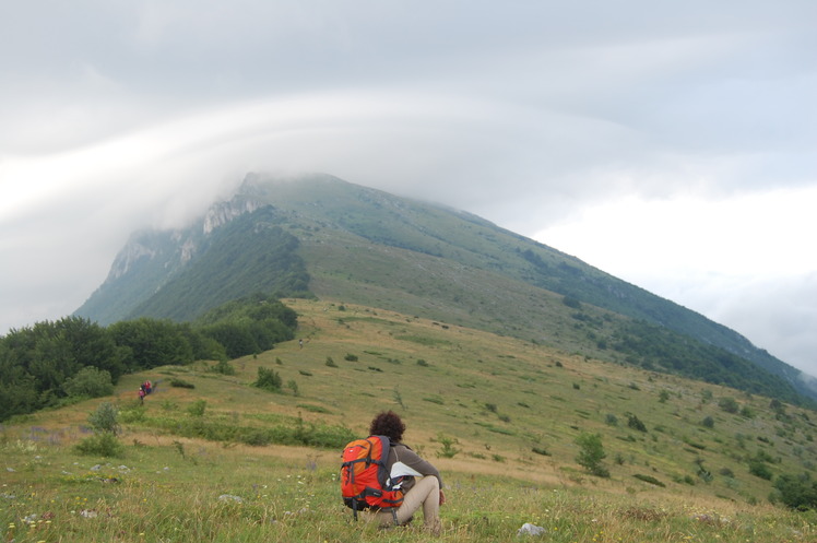 Preliminary ..., Trem - Suva planina