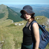 Indigo Hat in The Sun, Trem - Suva planina