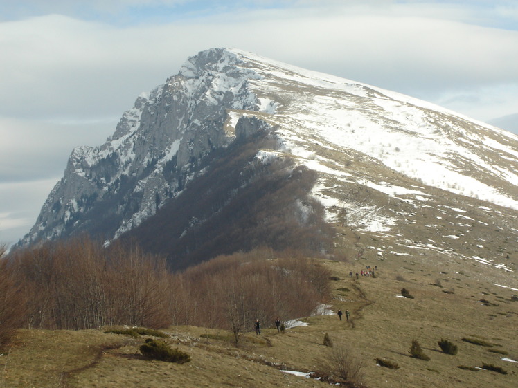 Green-White ..., Trem - Suva planina