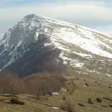 Green-White ..., Trem - Suva planina