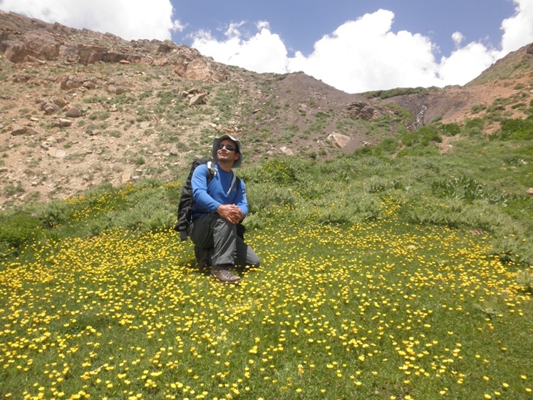 Ali   Saeidi   NeghabekoohestaN, Tochal