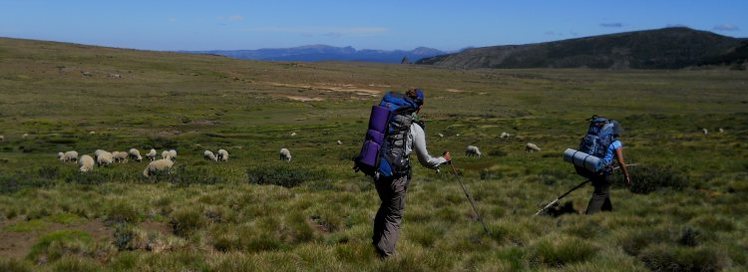 Trekking en Patagonia