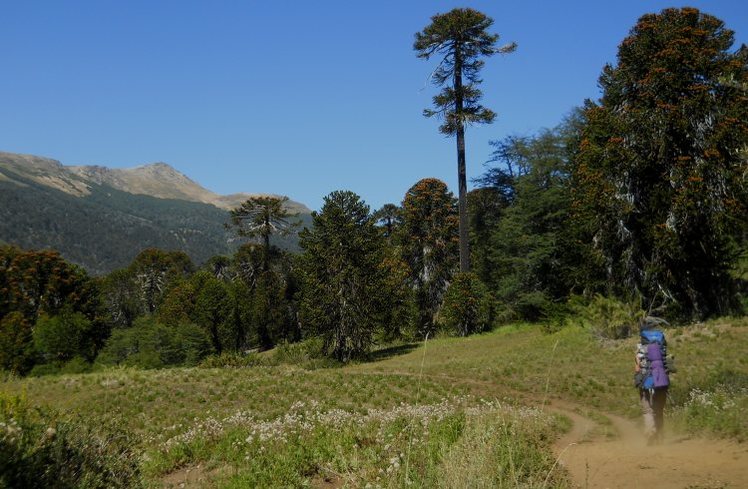 Trekking en Patagonia