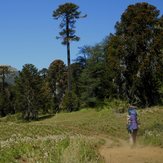 Trekking en Patagonia