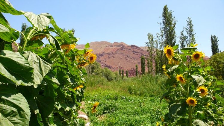 Ali   Saeidi   NeghabeKoohestaN, Ghar-e-Roodafshan