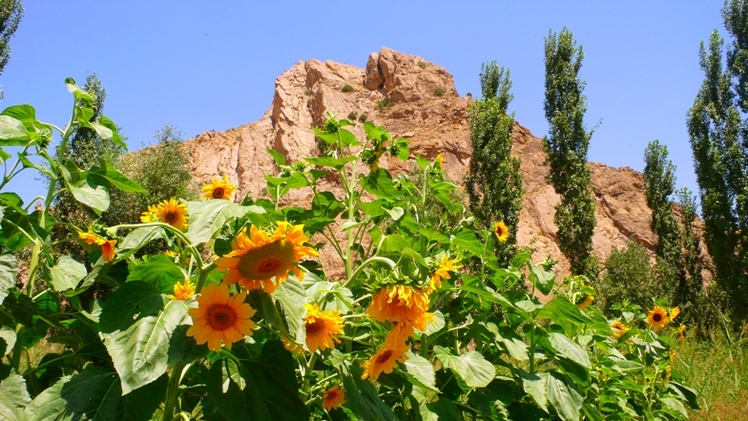 Ali   Saeidi   NeghabeKoohestaN, Ghar-e-Roodafshan