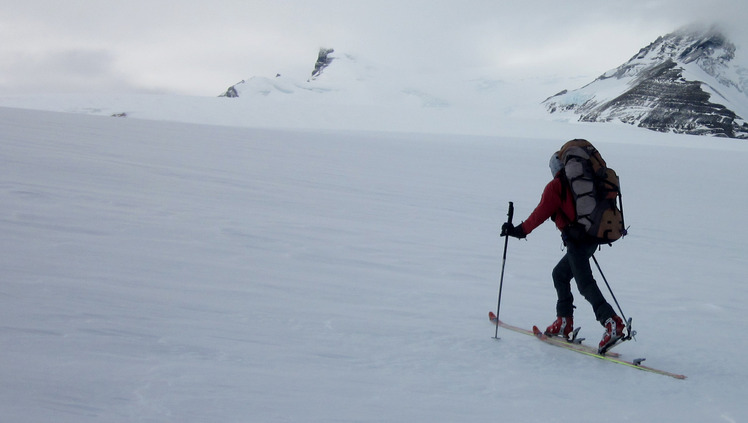 Campo de Hielo Sur