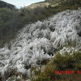 Chirripó,Costa Rica., Cerro Chirripo