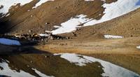 Camp  a 3100 mts, Volcan Domuyo photo