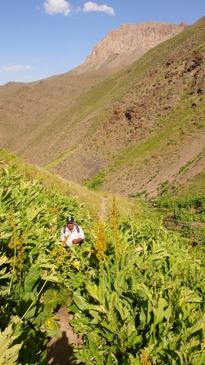 Ali   Saeidi   NeghabeKoohestaN, آزاد کوه‎‎