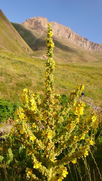 Ali   Saeidi   NeghabeKoohestaN, آزاد کوه‎‎