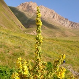 Ali   Saeidi   NeghabeKoohestaN, آزاد کوه‎‎