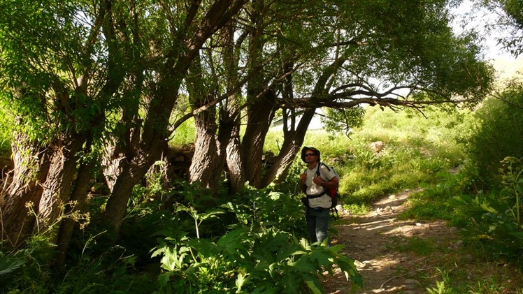 Ali   Saeidi   NeghabeKoohestaN, آزاد کوه‎‎