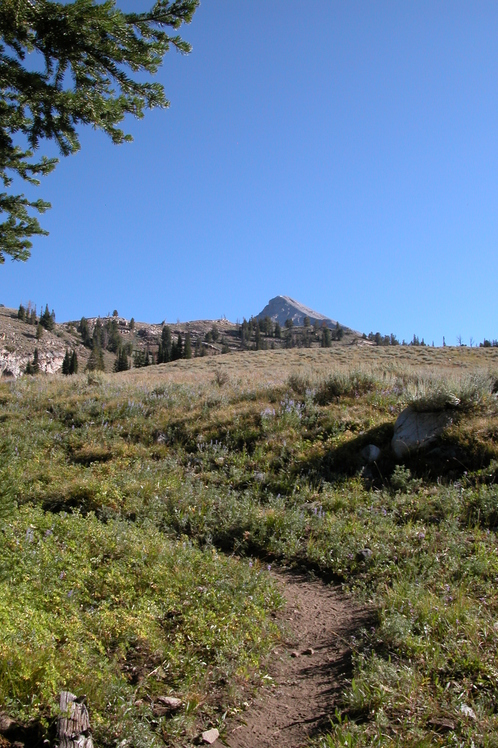 Trail to the saddle, Hyndman Peak