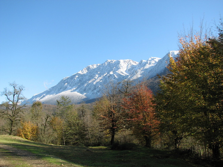 پاییز ناحیه کردمیر در دامنه های شمالی کوه درفک, Dorfak